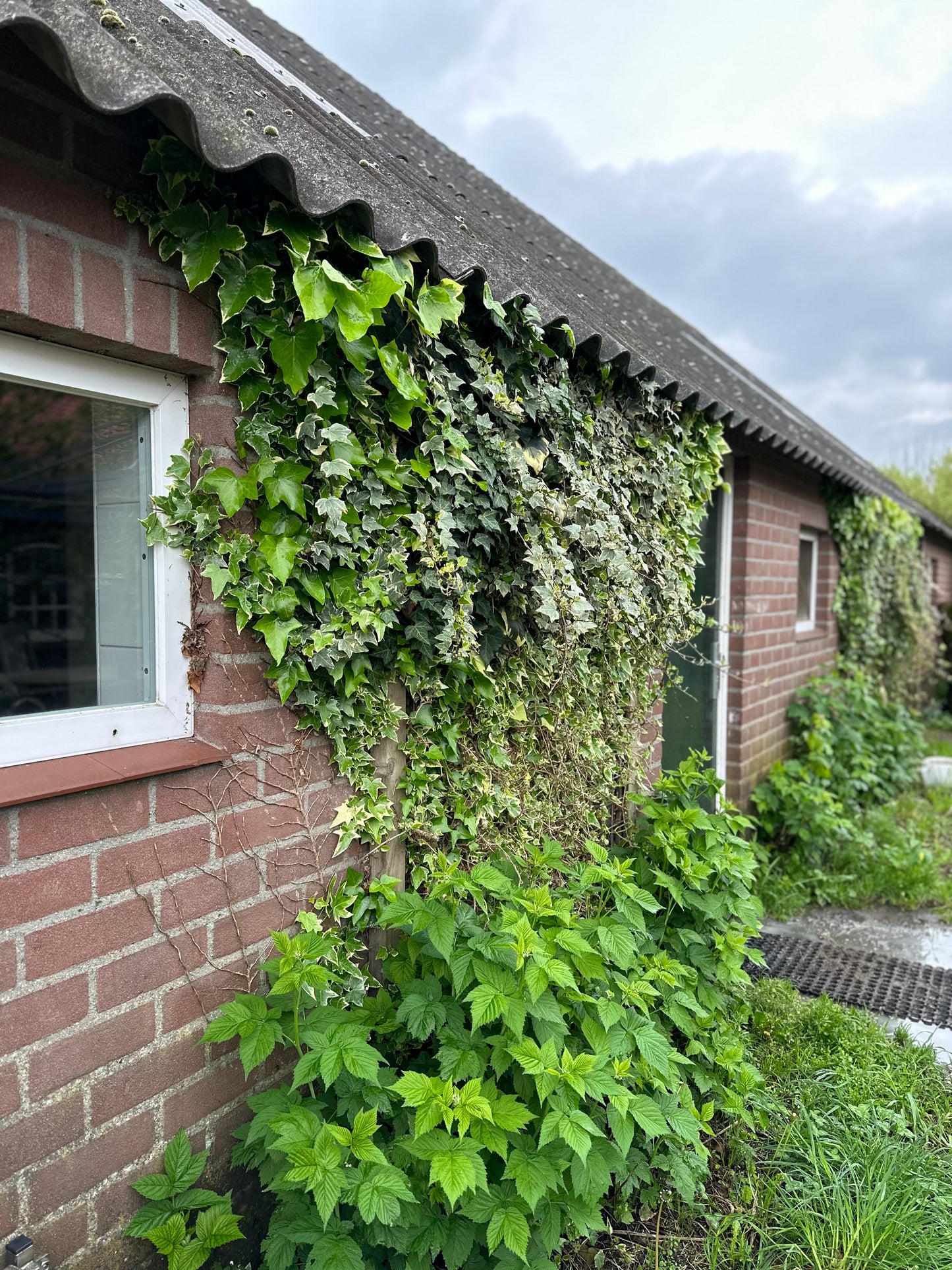 Natuurcertificaat