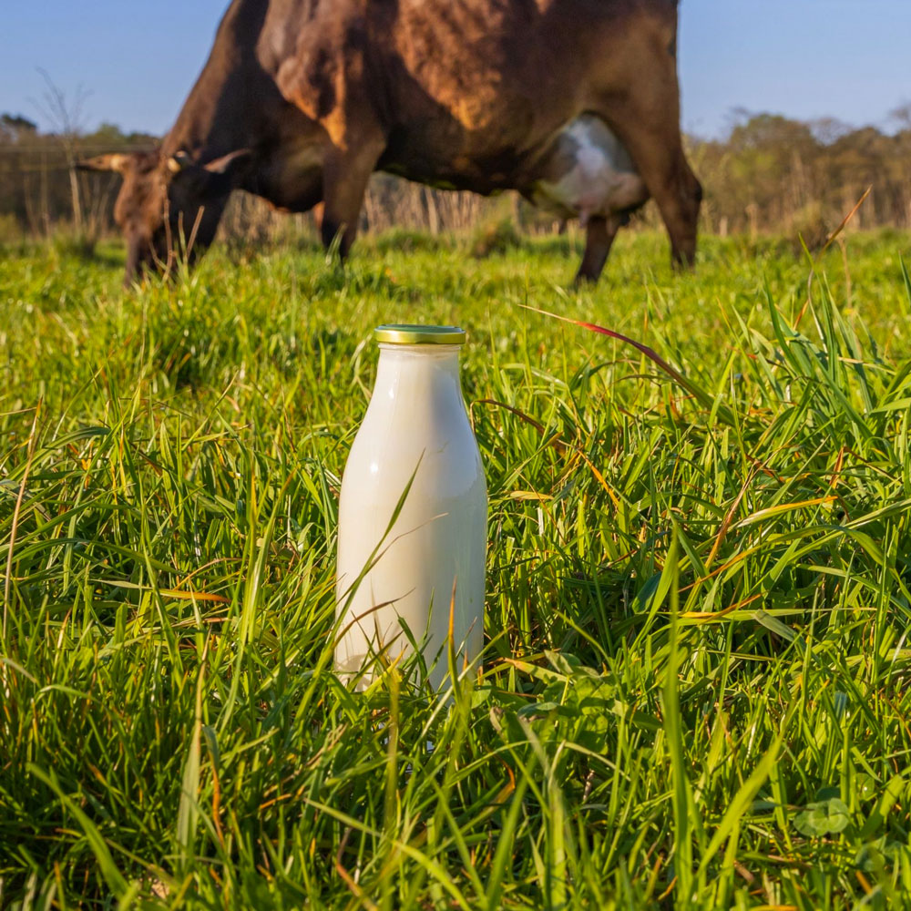 Boerenyoghurt