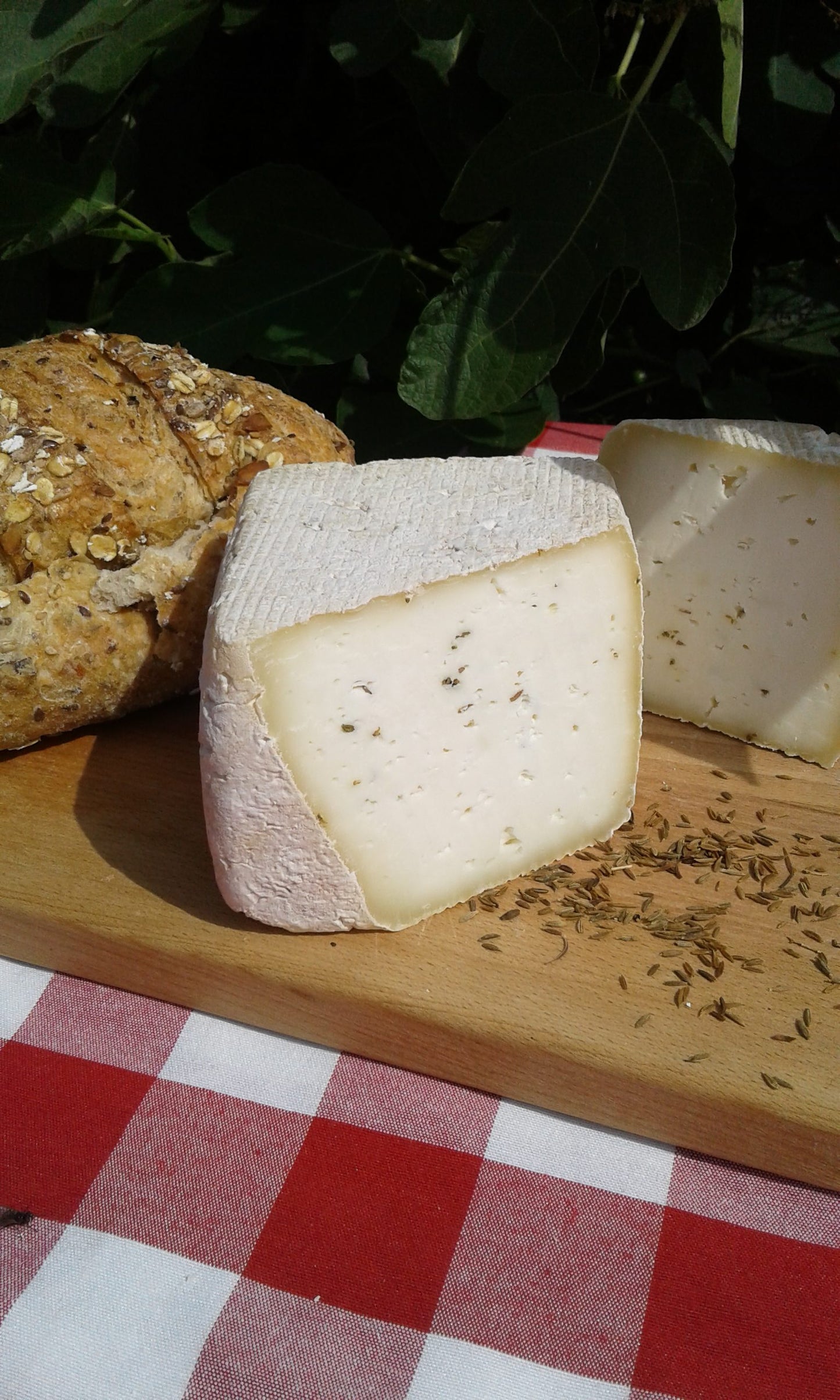 Komijnekaas